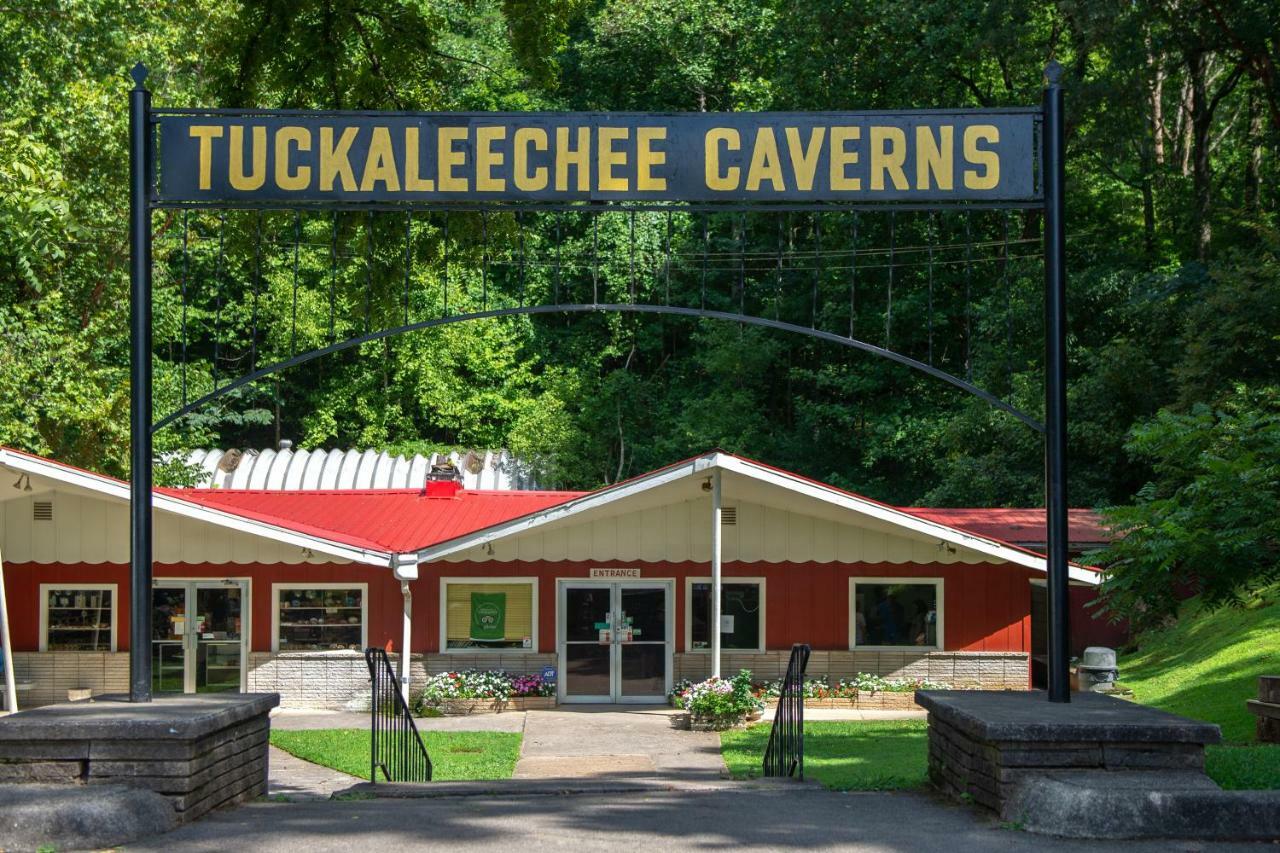 Twin Cub Lodge Tuckaleechee Extérieur photo